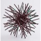Metal urchin